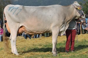 141004Altdorf 214